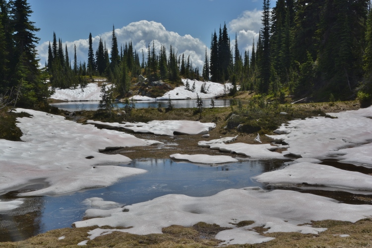 snow patches on revelstoke summit